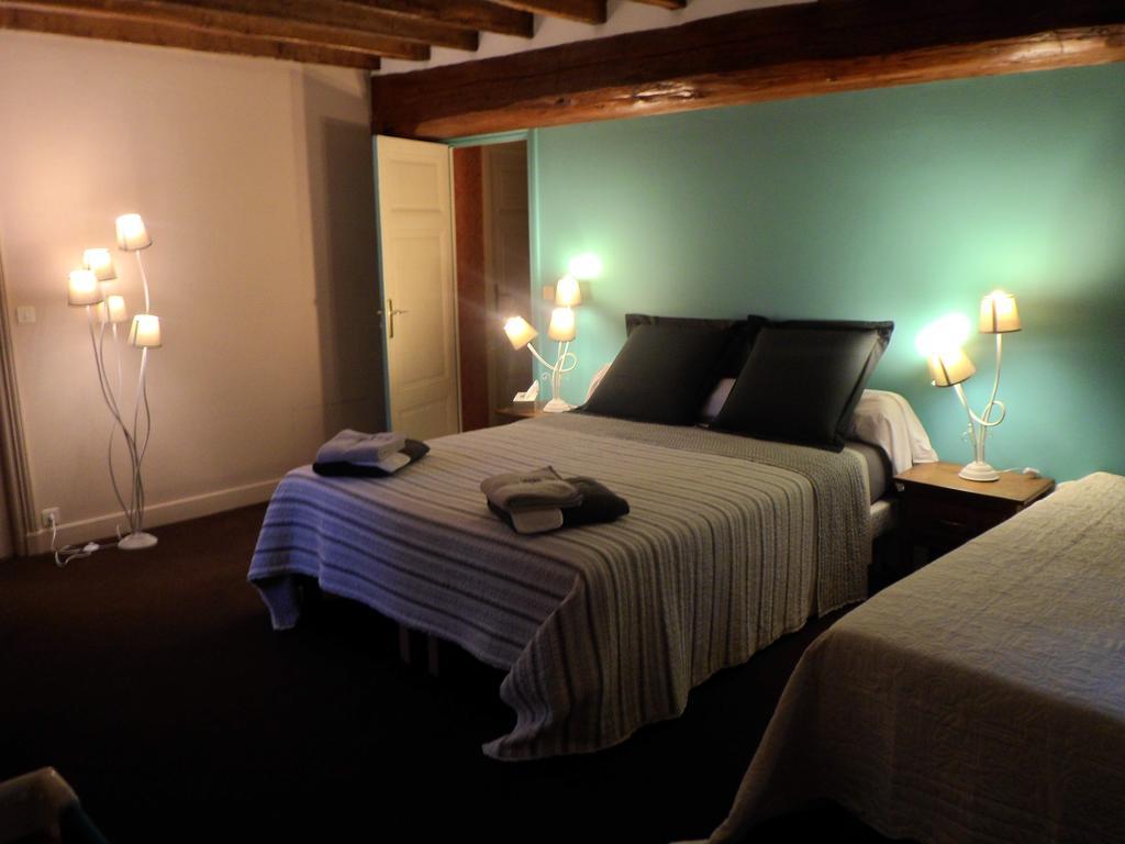 Hotel Domaine De La Helliere Lailly-en-Val Pokoj fotografie