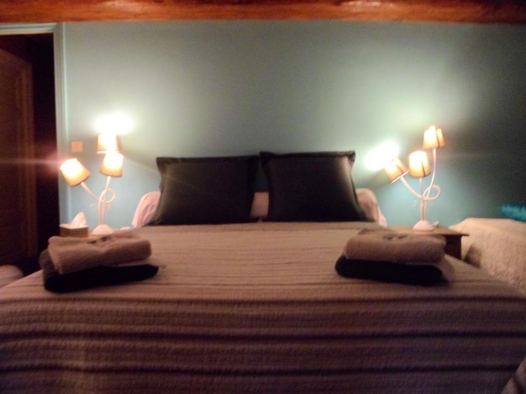 Hotel Domaine De La Helliere Lailly-en-Val Pokoj fotografie